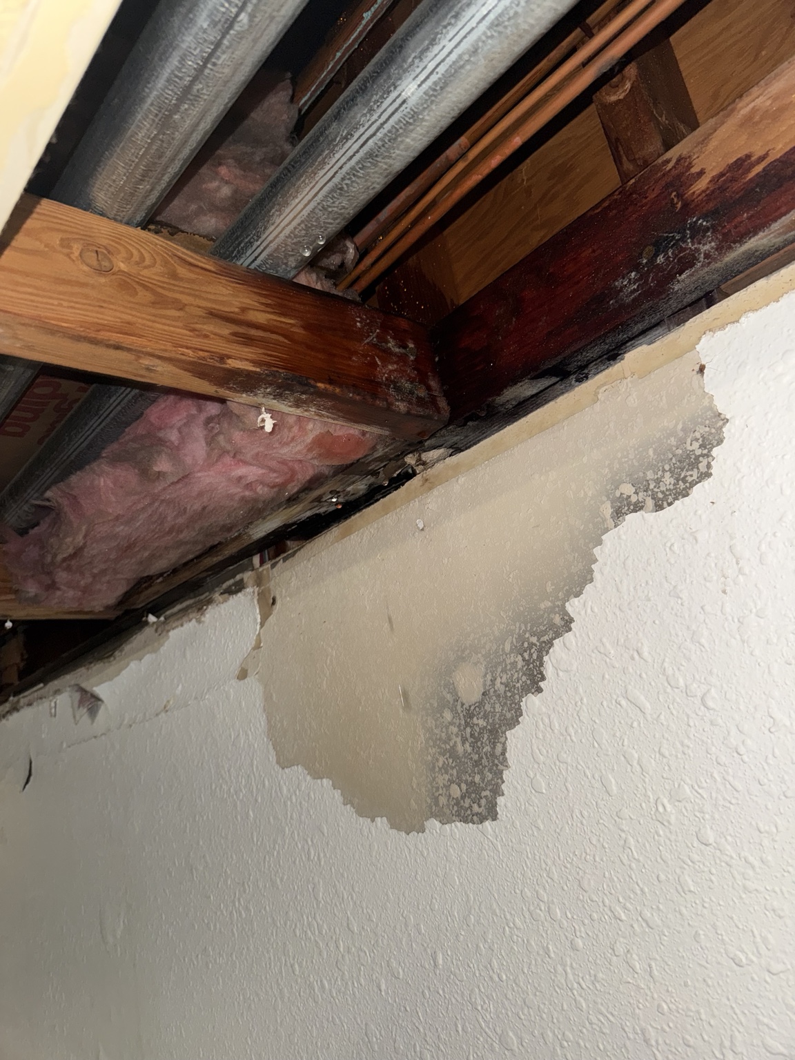 Water damaged ceiling cavity